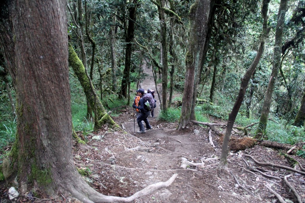 IMG-5043contrast JPG