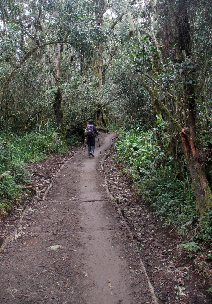 IMG-5060cropcontrast JPG