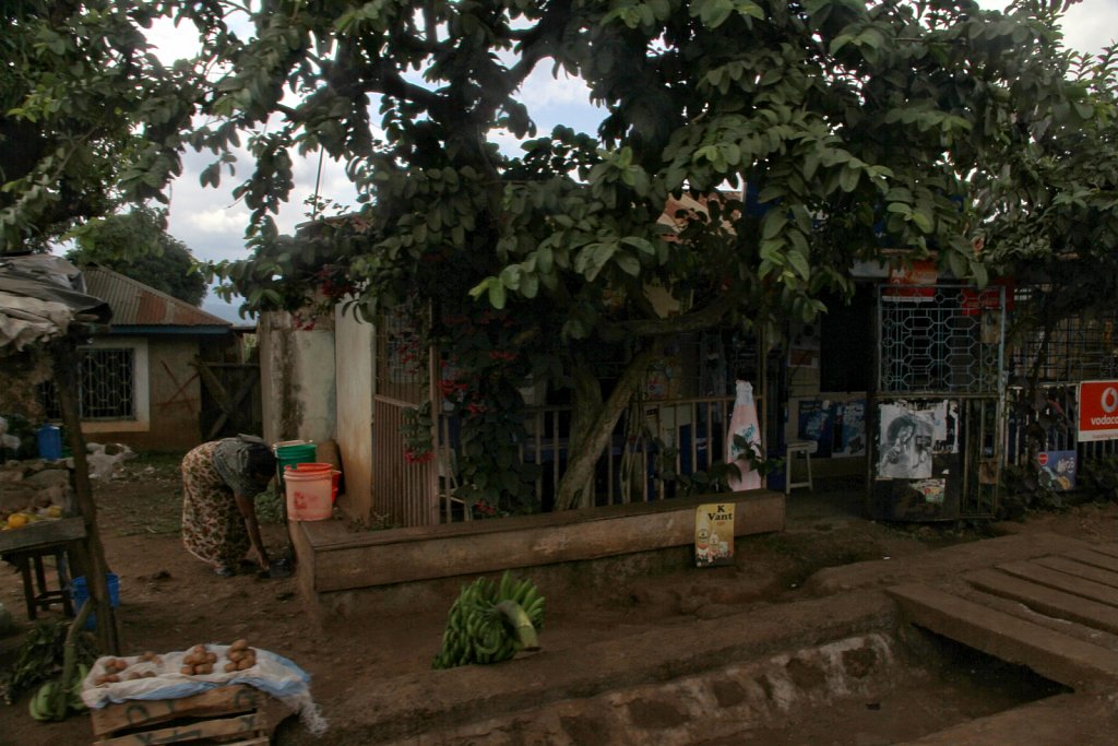 IMG-5166smartcurve JPG