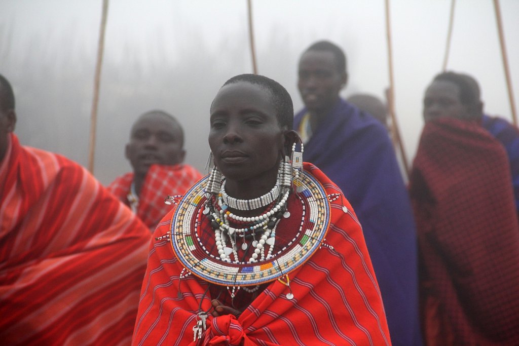 IMG-5551contrast JPG